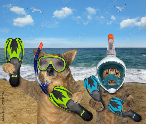 Cat and dog in diving masks by sea 2