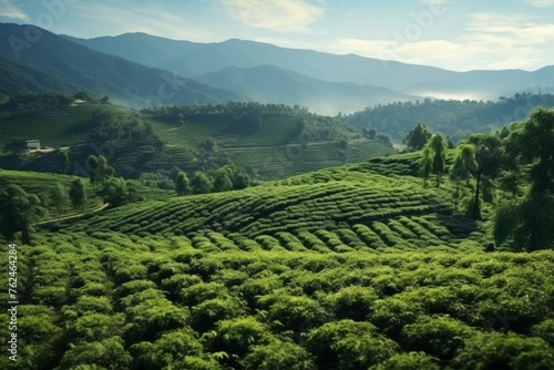 green coffee plantation Generative AI