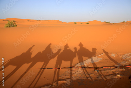 The Sahara Desert in Morocco  Africa  with the silhouette of riders on a camel.