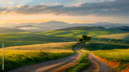 A photo of the Camino de Santiago  with vibrant fields as the background  during sunrise