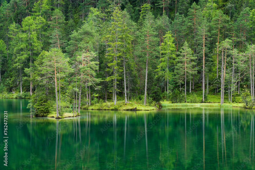Österreich, Tirol, Fernsteinsee, Wald Österreich, Tirol, Fernsteinsee, Wald