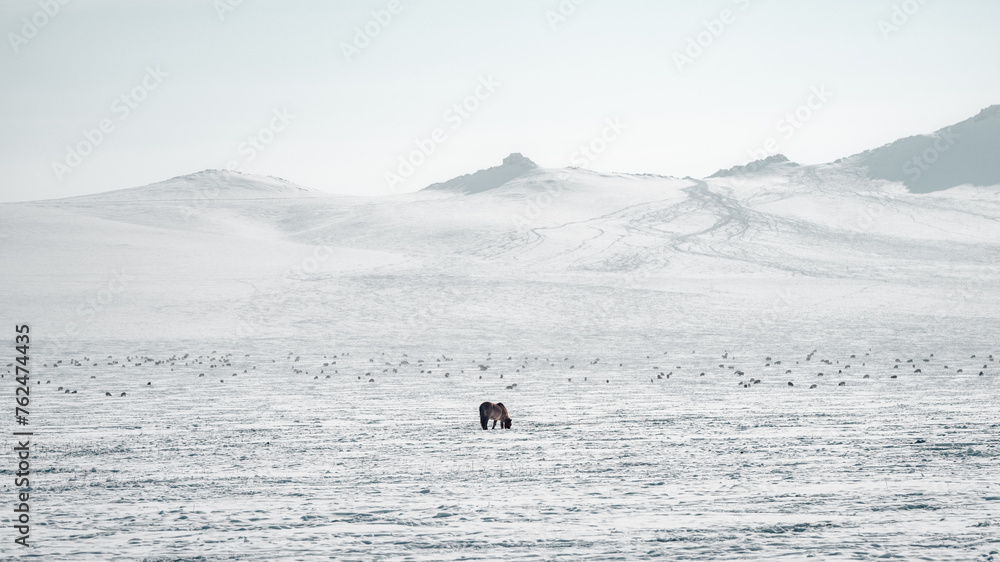 Fototapeta premium 몽골 겨울 풍경 