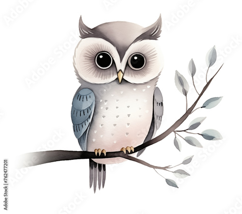 Watercolor illustration of cute grey owl on branch isolated on white background.