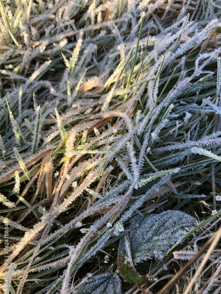 Winter frost on grass in close-up in North Yorkshire