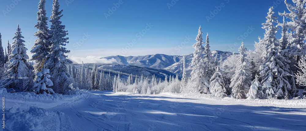 Beautiful winter scene: snowy mountain with pine trees, captured under a clear blue sky.