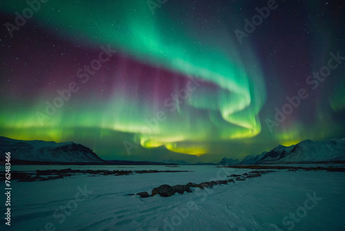 The sky is filled with green auroras, and the trees are silhouetted against the sky. Scene is serene and peaceful, as the natural beauty of the auroras