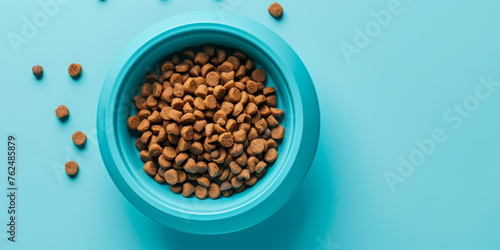 A full bowl of dry dog food on a light blue background