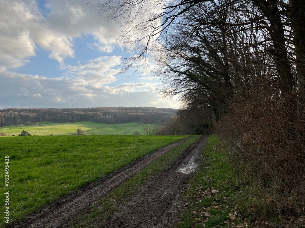 muddy dirt road through green meadow at the edge of the forest in the countryside in Germany