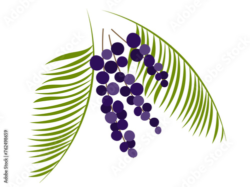Acai berry. and palm leaves.  Organic healthy super food. Vector illustration
