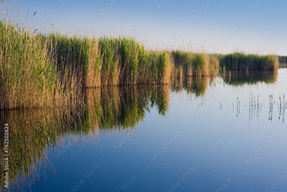 Österreich, Burgenland, Neusiedlersee, Fertö, Nationalpark, Schilf, Österreich, Burgenland, Neusiedlersee, Fertö, Nationalpark, Schilf,
