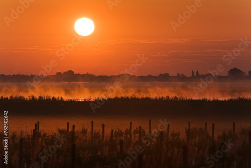   sterreich  Burgenland  Neusiedlersee  Fert    Nationalpark  Sonnenaufgang  Landschaft  rot  orange  Dunst  Nebel