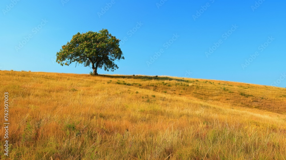 The golden grasslands sprawl across the hill Generative AI The golden grasslands sprawl across the hill Generative AI