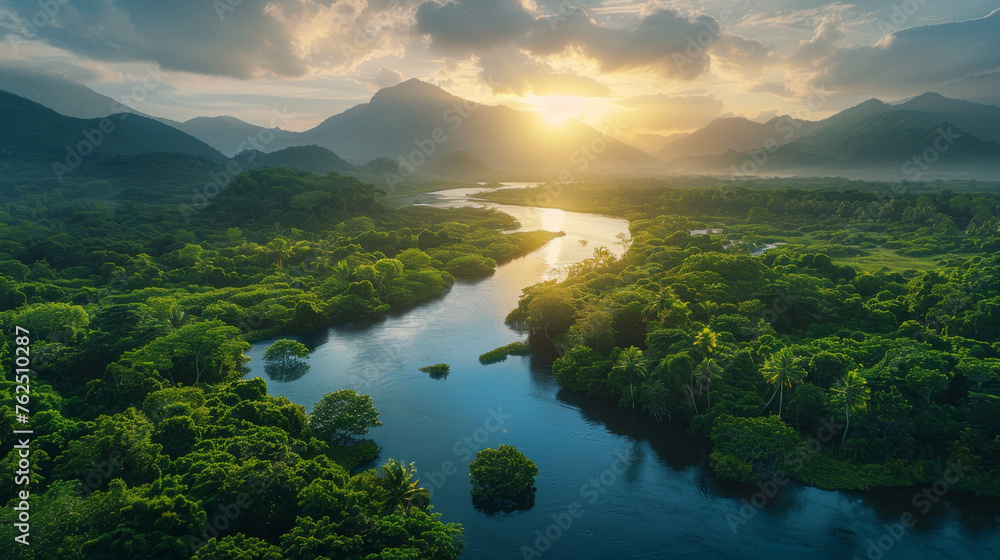 a large river flows through an old forest a large river flows through an old forest
