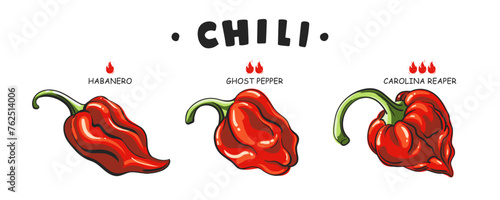 Set Spicy food or sauce taste scale indicators. Illustration red hot chili pepper. Carolina reaper, ghost pepper, habanero. Vector peppers with fire flames. Extra and mild taste