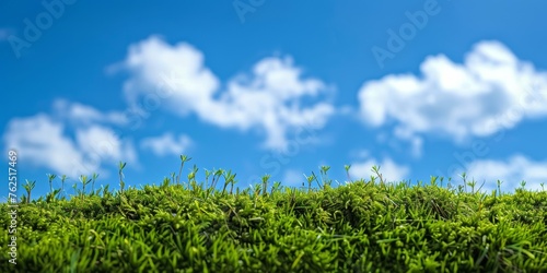 Mossy background with blue sky backdrop with empty copy space for text created with Generative AI Technology