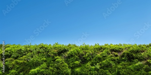 Mossy background with blue sky backdrop with empty copy space for text created with Generative AI Technology