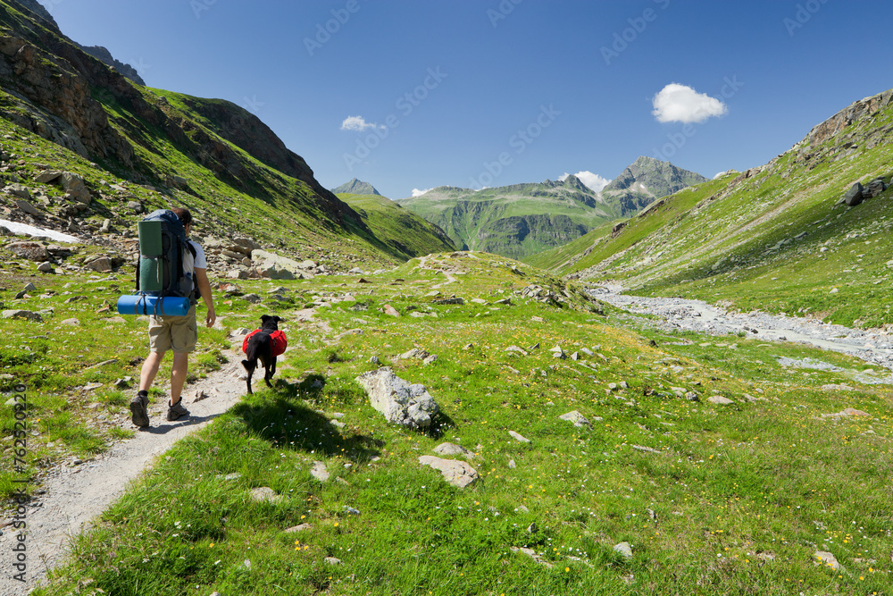 Österreich, Tirol, Bieltal, Bielerhöhe, Bielerspitze, eine Pe rson, Hund