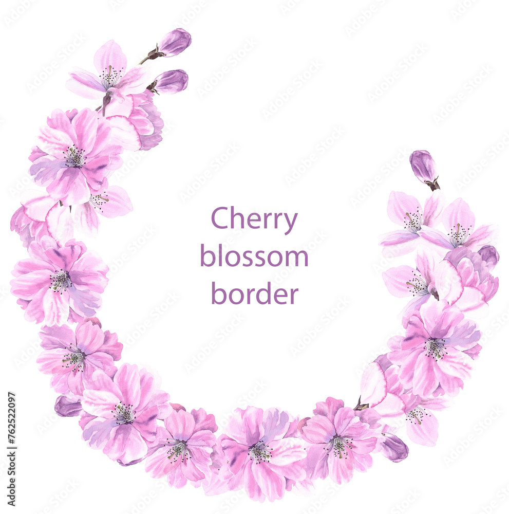 Spring sakura cherry blooming flowers wreath border. Watercolour flower round decor hand drawn illustration. Seasonal. Painted botanical floral elements. Isolated on white background. Greeting cards