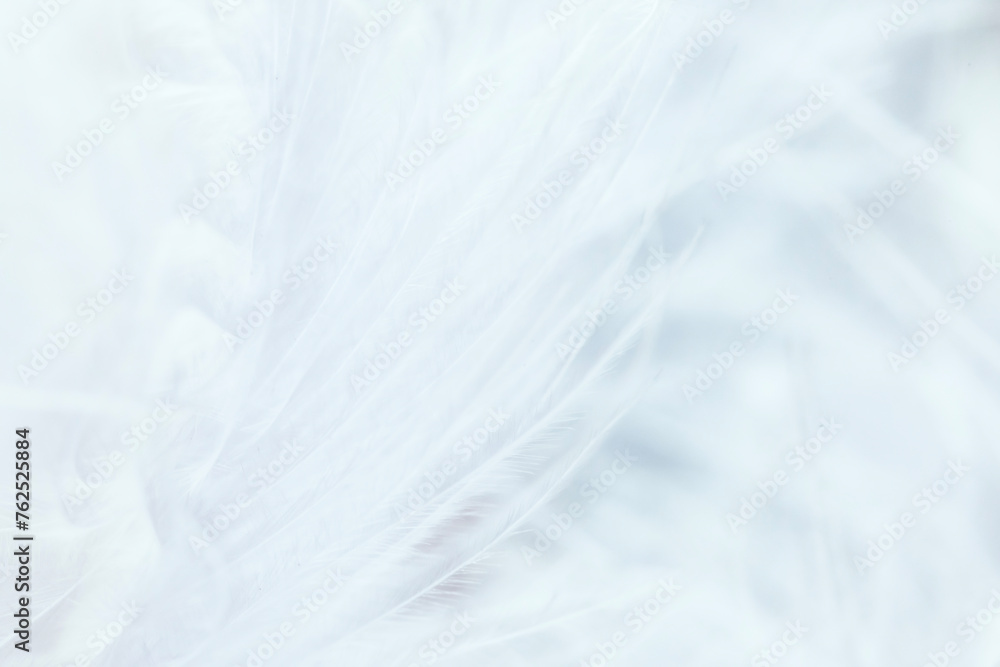 Obraz premium Abstract nature photo. Feathers photographed close-up.