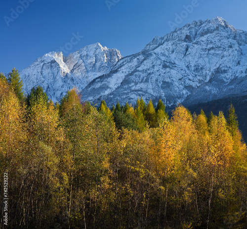 Österreich, Tirol, Debant, Debantbach, Lienzer Dolomiten, Hochstadel, Birken © Rainer Mirau