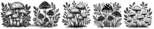 magical mushrooms in forest with leaves mushroom collection black vector photo