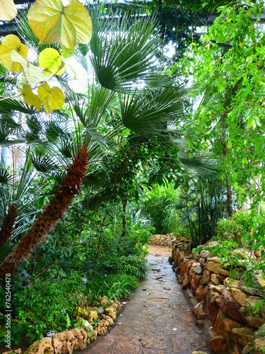 Jardin tropical serre 