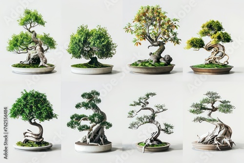 several different bonsai trees are shown in this image