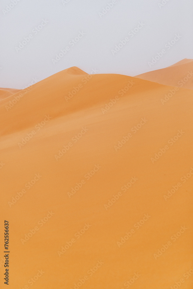 Sand dunes in the Sahara Desert - obrazy, fototapety, plakaty 