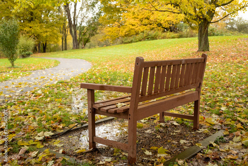Park bench with colorful fall foliage, negative space 