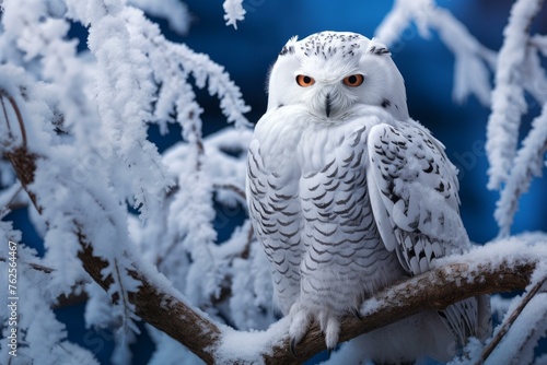 Majestic Snowy owl tree branch. Winter raptor. Generate Ai © juliars