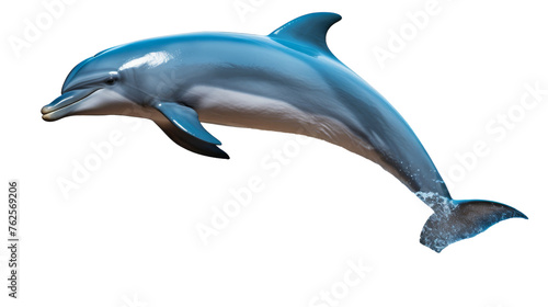 A dolphin soars gracefully in the air against a clean white background