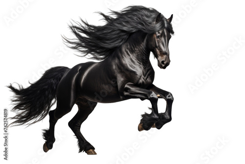 Majestic Horse Rear Up Pose Isolated on Transparent Background PNG format