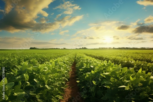 Soy beans farm. Green field. Generate Ai