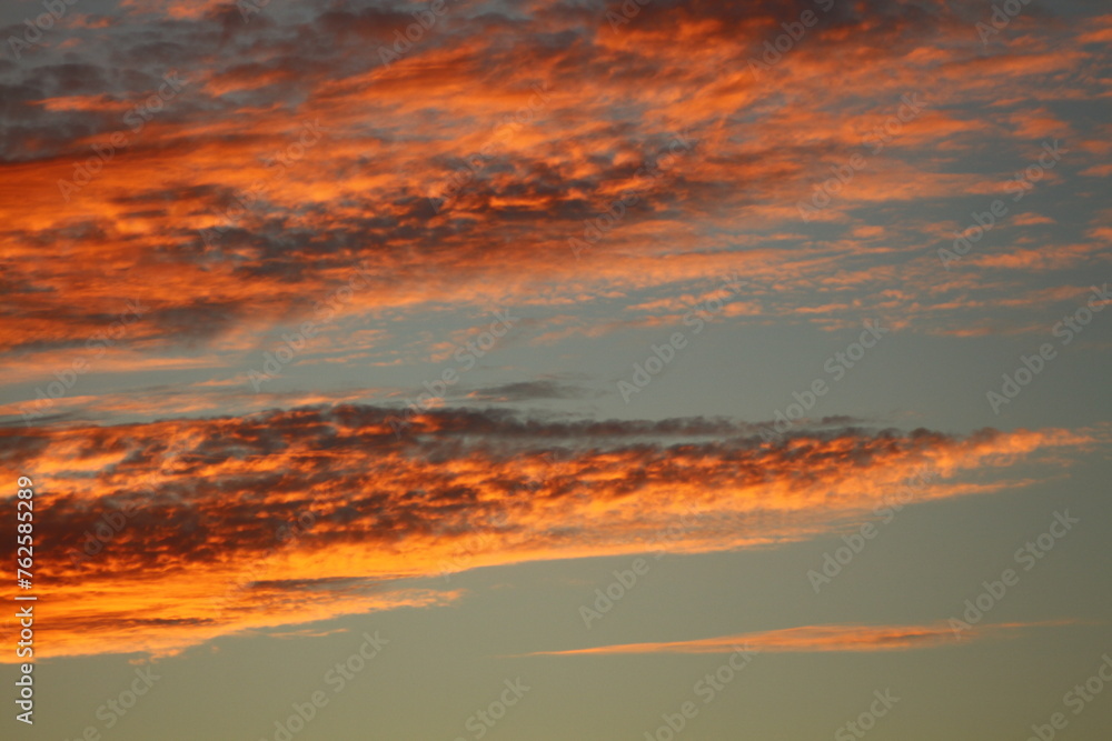 Fototapeta premium sunset in the sky