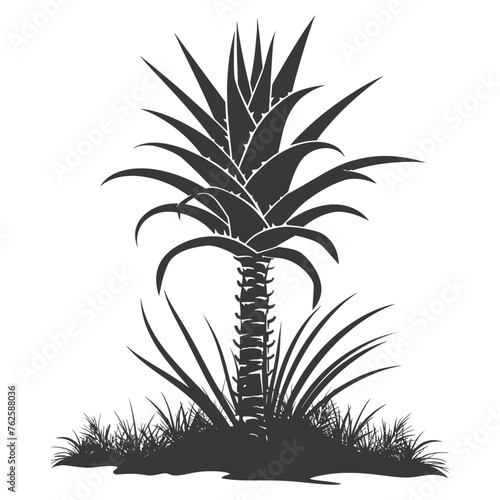 Silhouette Aloe vera tree in the ground black color only