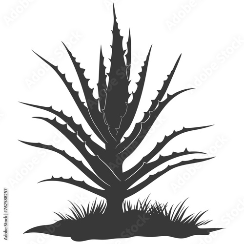 Silhouette Aloe vera tree in the ground black color only