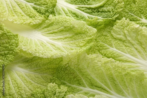 Fresh Chinese cabbage leaves as background, closeup