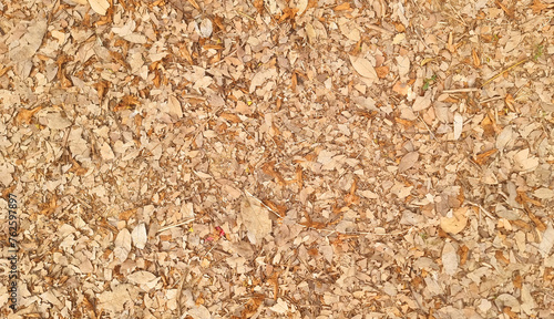 brown autumn leaves on the ground used as background. sepia tone backround image of fallen autumn leaves for seasonal use concept. outdoor garden floor background. space for text. photo