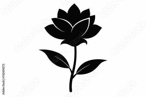 flower silhouette with white background