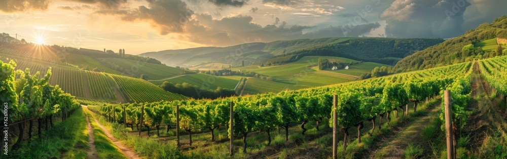 The sun shines brightly through the clouds, casting a warm glow over a vineyard below. Rows of grapevines are visible, with lush green leaves and ripe grapes glistening in the sunlight. - obrazy, fototapety, plakaty 