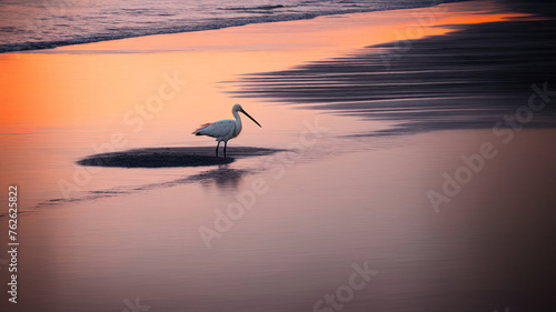 Twilight Serenity: A Pelican's Coastal Retreat © Yolhan