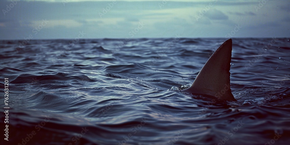 Fototapeta premium A shark fin emerges above the ocean waters, capturing the essence of marine life in a low-contrast photo. A fin cutting the surface of the water.