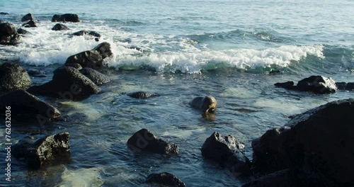 Strong wave hits a sea lion near the beach moving it towards rocks. photo