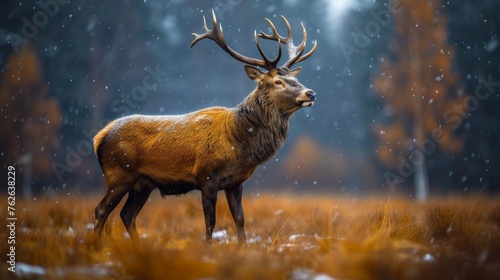  A majestic deer, gracefully standing amidst an emerald field dotted with tall trees, as delicate snowflakes softly descend upon its magnificent antlers