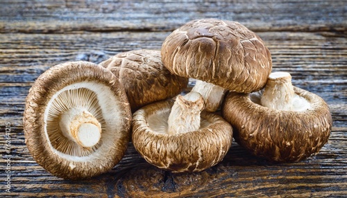 shiitake mushrooms lentinula edodes photo