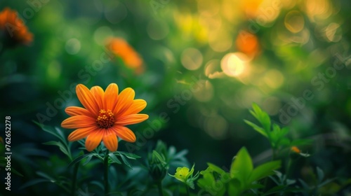 A tranquil garden scene with a shallow depth of field, highlighting a single vibrant flower amidst blurred foliage.