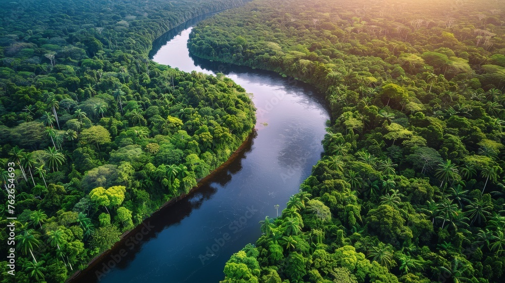 River Flowing Through Lush Green Forest River Flowing Through Lush Green Forest