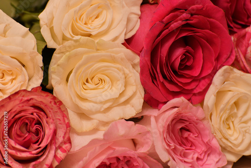 The background of pink and yellow roses