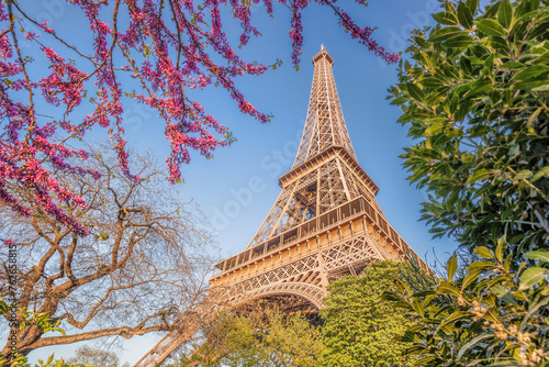 Eiffel Tower during spring time in Paris  France