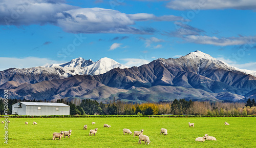 Beautiful landscape with grazing sheep